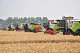 小麦机收减损技能大比武 农机高手麦田间“过招”图片