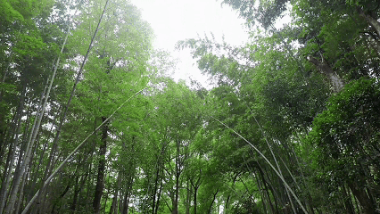 欢乐跑“520赛道”！环石燕湖一周，每步都是风景→