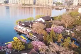 “赏花经济+国风”让传统文化“活起来” 文旅体验增添新内涵图片