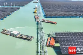 海南：向绿图强 向“新”发力图片
