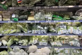 “苗苗菜”新鲜上市！菜篮子“拎出”满满幸福感图片