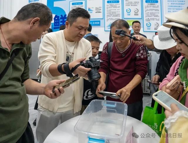 网络大V寻味仙桃,最赞叹的是→