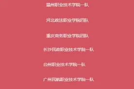 长沙民政职院学生在第九届 OCALE 全国跨境电商创新创业能力大赛中喜获佳绩图片