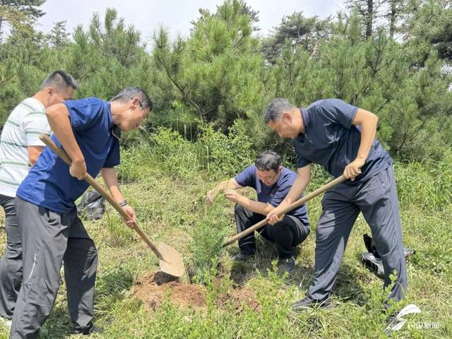 科普展览、救助凤头鹰放飞……全国生态日泰山景区举办多样活动