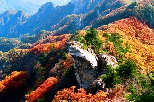 错过等一年！河南金秋限定打卡全攻略