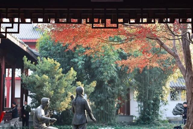 武汉冬日已“枫”神，全部地铁直达