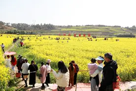 通山县大路乡杨狮坑村油菜花开春意浓 美丽经济促增收图片