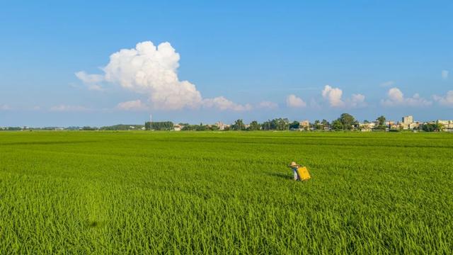 限定皮肤！随机开箱湛江天空“云彩盲盒”→