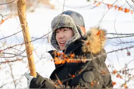 江苏卫视《种地吧3》少年凌晨雪地打沙棘，手工制皂探索创收新渠道图片