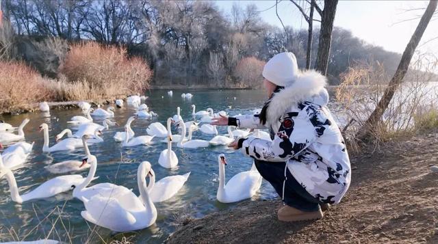 美极了！“疯狂动物城”与“冰雪奇缘”梦幻联动！