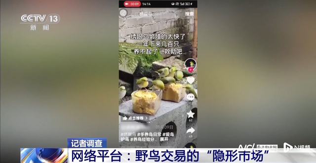 南都电商观察｜辛巴旗下卫生巾检出硫脲；网购菌种长出毒蘑菇