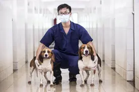 “汪汪队”守护健康使命，广药白云山基因科技引领创新引擎图片