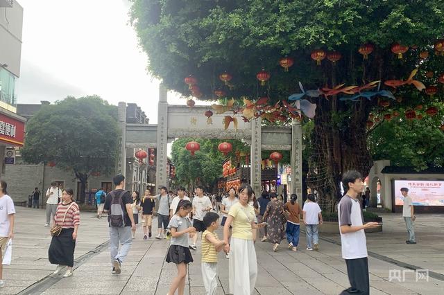一棵树冠一座城：行人不知暑  万古长清风