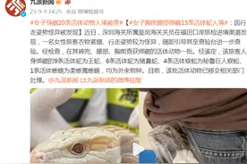 女子胸前腰部绑藏15条活体蛇入境，因行走姿势怪异被发现图片