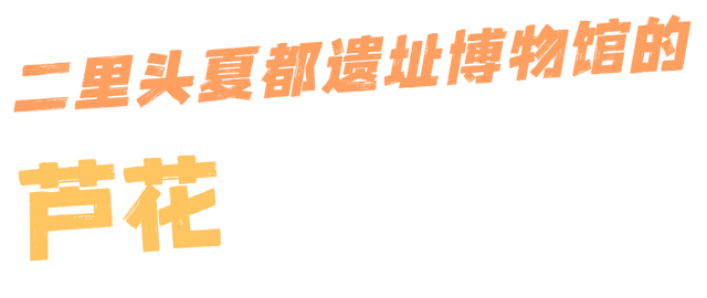 快出门！这些全是洛阳冬日限定！