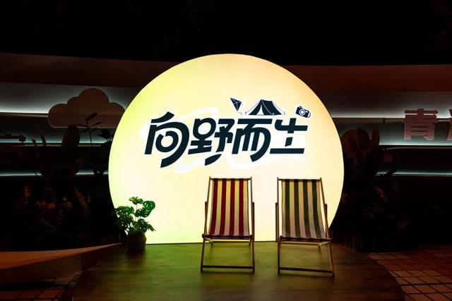 自然，生活，相聚！青浦2025「一年一度露营大会」开幕！