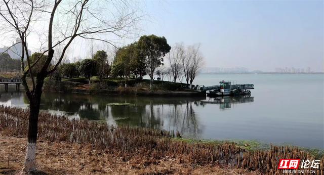 【赴春之约】暂别喧嚣，在松雅湖的春光里，晒一场关于新年的暖阳