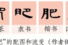 “肥”和“胖”，有啥不一样图片