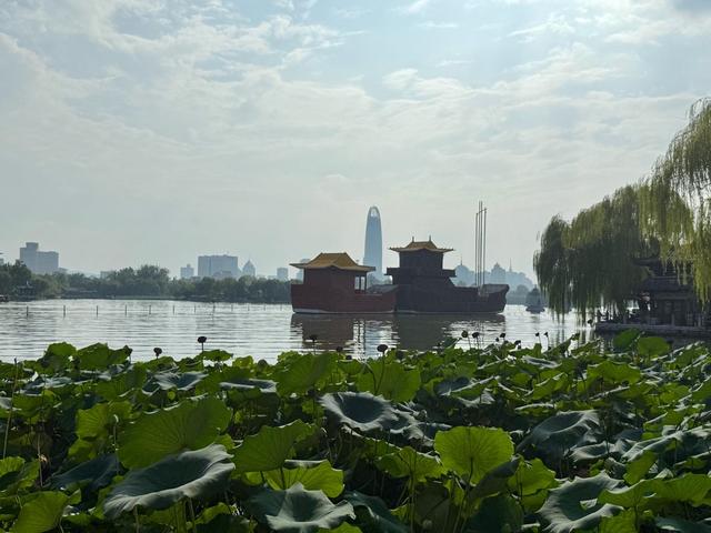 新视界｜济南大明湖：杨柳依依里，湖光山色新