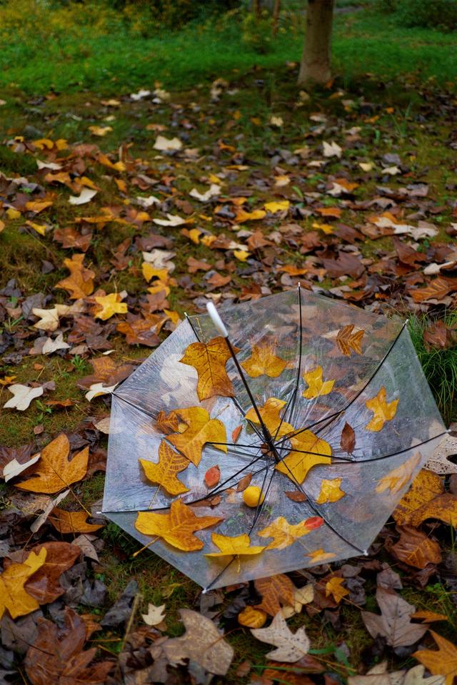 【天眼影像】来七星关拍冬日氛围感美照