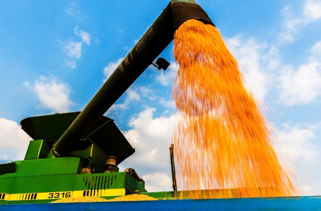 我说“白”了，你有点过分了！