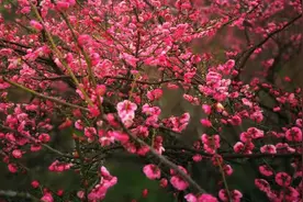 一点浩然气 千里快哉风图片