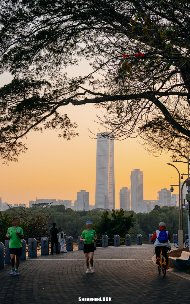 深圳湾的夜景再次升级 · 周末游玩指南