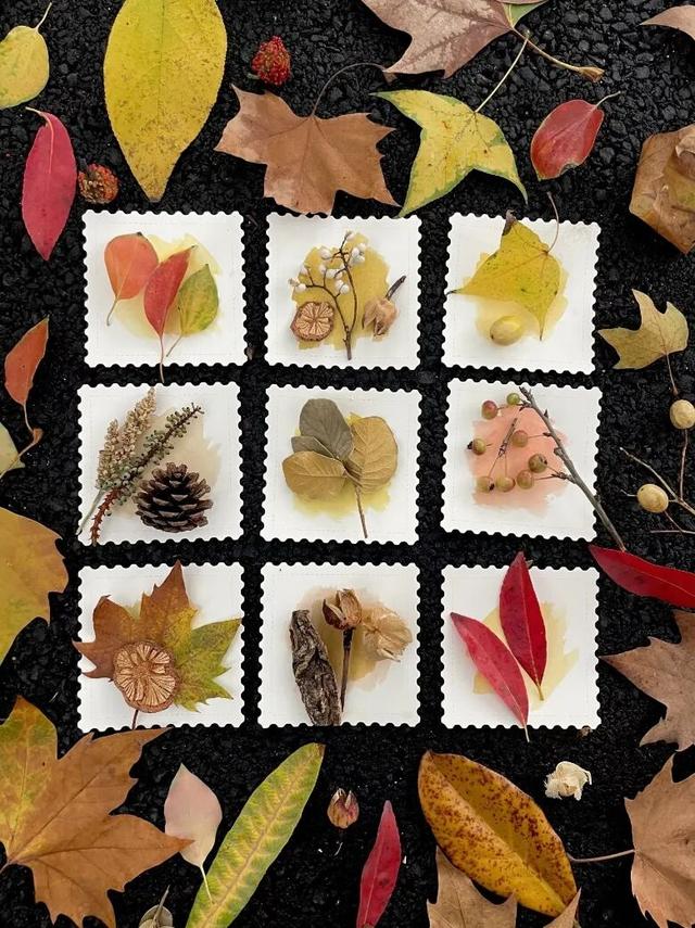 最美松湖 | 烦恼No，捡秋Go！来这里一键切换治愈模式