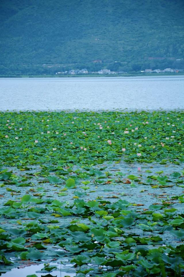 异龙湖骑行，遇见最美日落！这份环湖攻略快收好