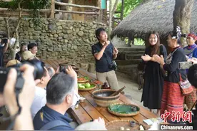 日本旅行商团赴琼考察 共探旅游合作新机遇图片