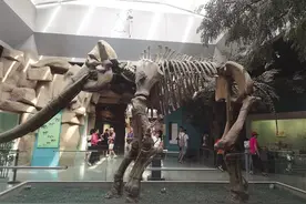 “不远不贵不挤”的小众目的地“出圈” 甘肃热门区域旅游预订量大增图片