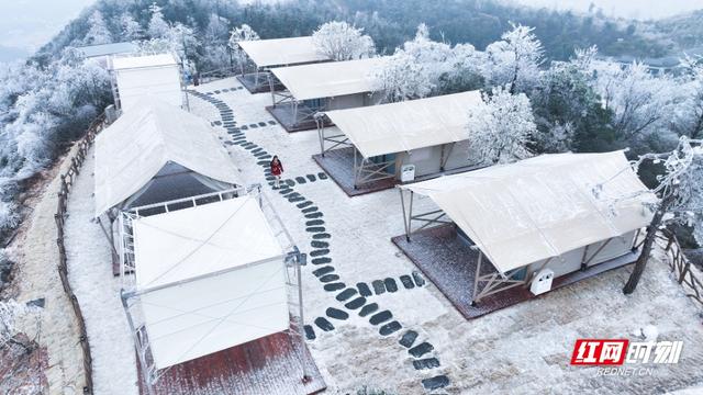 衡山县：雾凇扮靓冬日 紫金“仙境”宛若童话