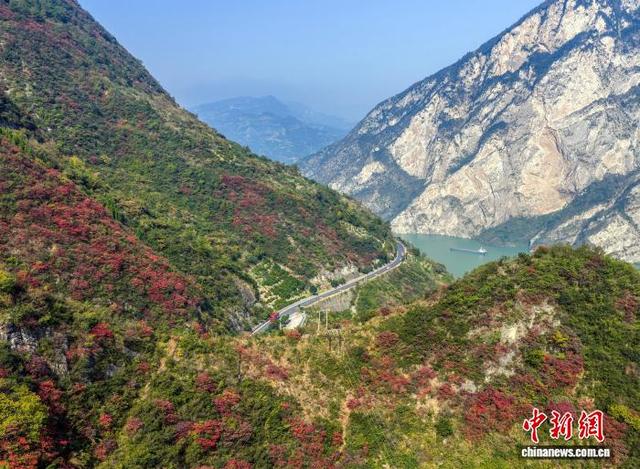长江西陵峡：碧水红叶相映成画