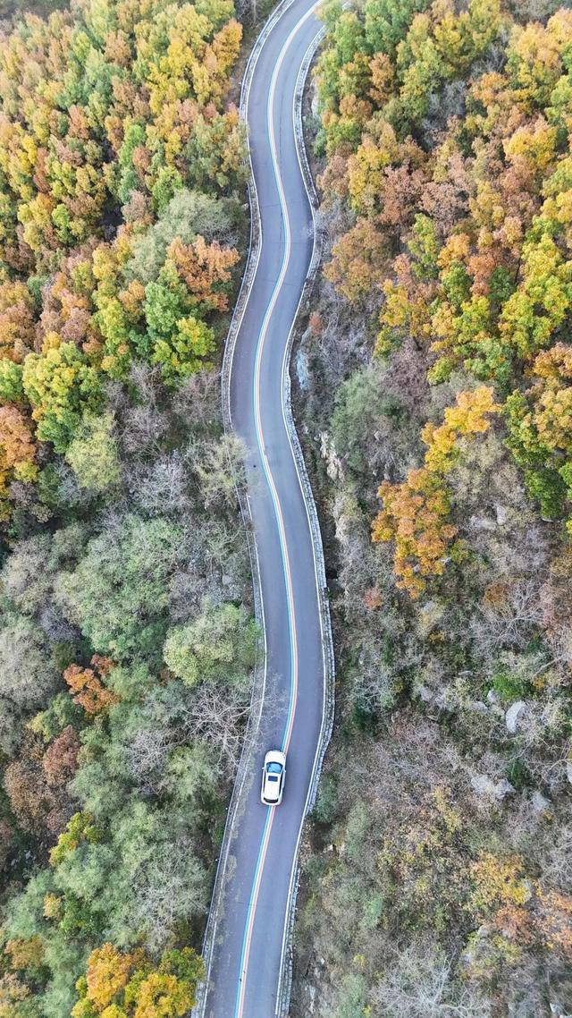 璀璨斑斓！日照这条路，现在美到不像话！