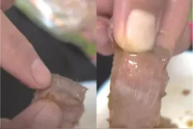 粽子吃出“带血创可贴”？品牌方回应图片