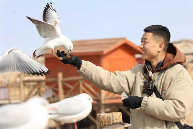 景美如诗居延海