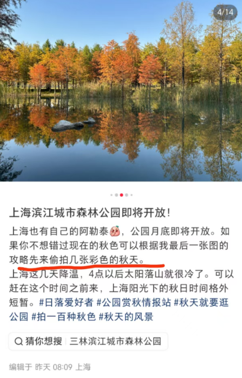 上海有个超美的新公园，未开先火！有人偷偷爬进去、溜进去、翻进去……太危险！