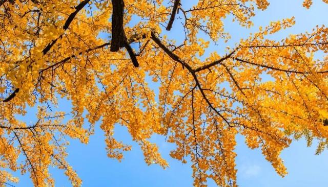 正式亮相！古城添新，相约最美的季节~