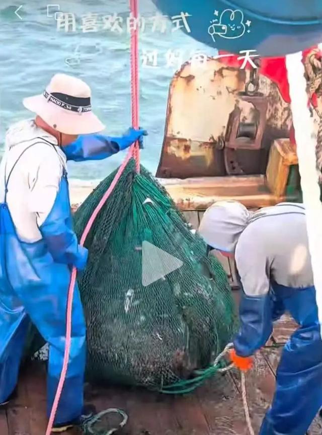 大堵车，4小时车程开了7个多小时！上海人自驾去外地吃蟹，吐槽“价格不比家门口便宜”