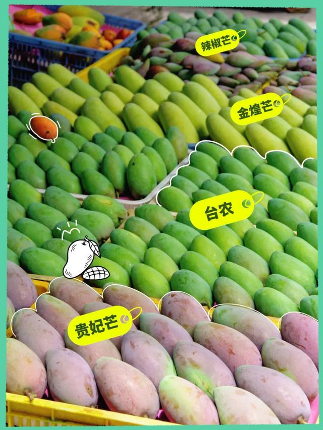 百色田东，“中国芒果之乡”不止芒果！