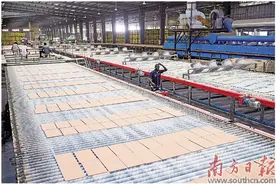 海外业绩亮眼 企业建厂加速图片