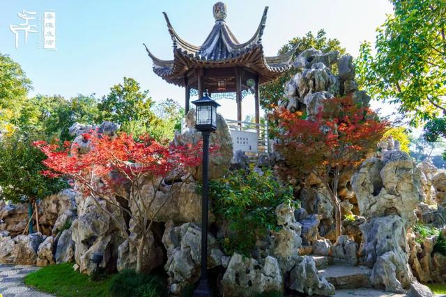 美“枫”了，快来赏！