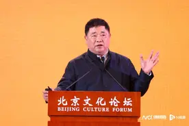 单霁翔谈大英博物馆丢文物敲响警钟，称北京中轴线明年将申遗图片