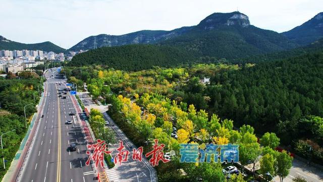 一年四季 泉在济南丨金秋染林间 佛慧山景区秋色引客来
