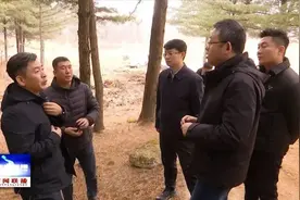 让小松籽成就大产业  东丰县拓宽产业渠道 推进乡村振兴图片