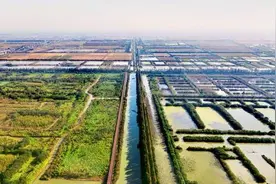 潜江市后湖管理区荣获“湖北省森林城镇”图片