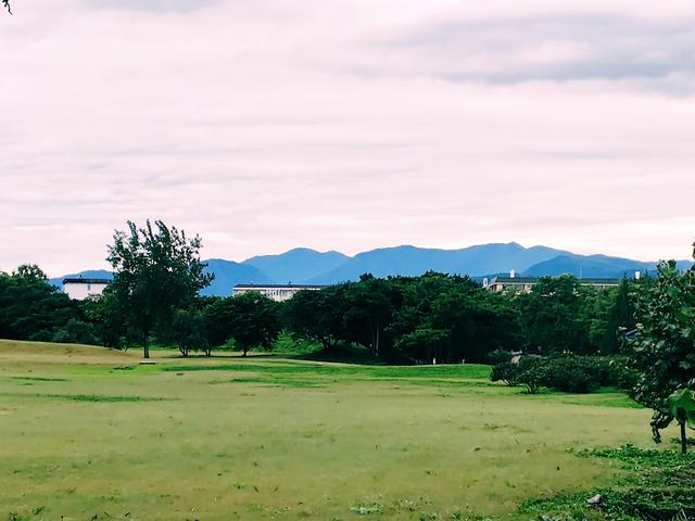 秋日雨后圆明园，安静清幽