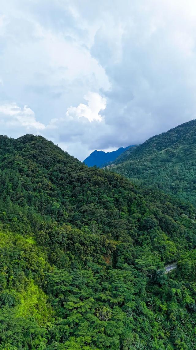 图观白沙 | 白沙山城的绿意秘境
