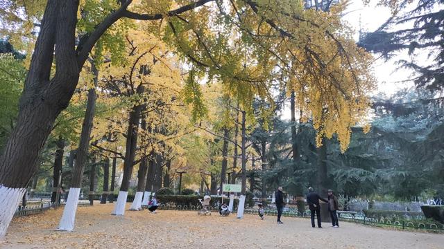 靓丽“秋色”装扮起最美海泊河公园