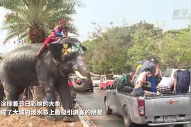 泰国泼水节：大象戏水 民众欢腾图片